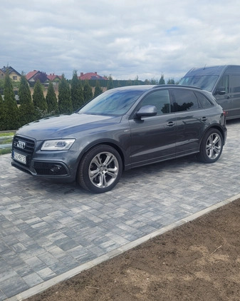 Audi SQ5 cena 89999 przebieg: 175376, rok produkcji 2014 z Szczebrzeszyn małe 172